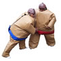 Find a Sumo Suit Rental